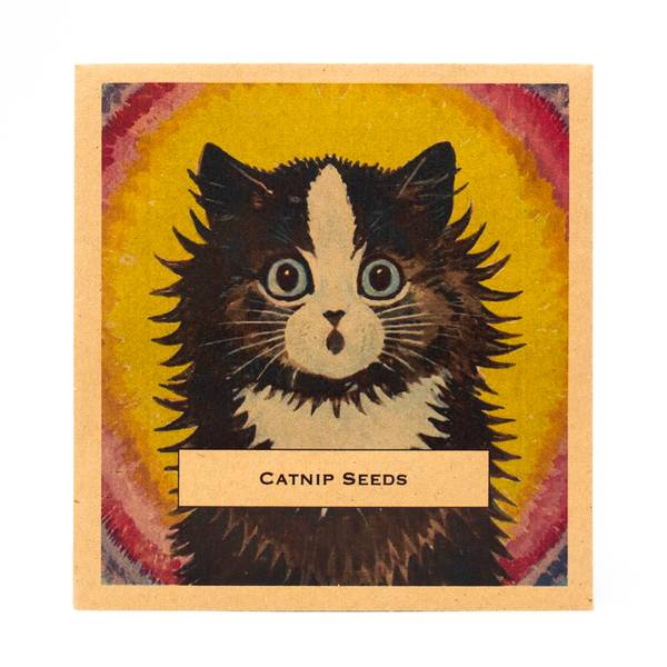 Image of Louis Wain Catnip Plant Seeds