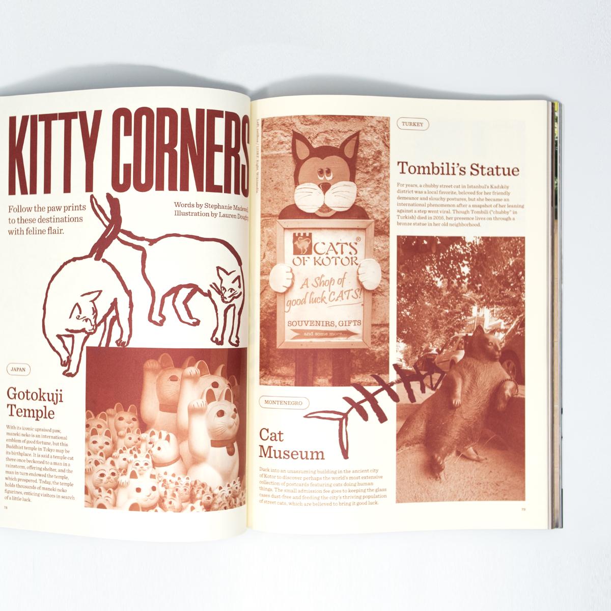 catnip mag inside 1