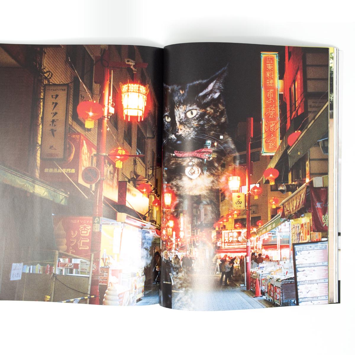 catnip mag inside 4