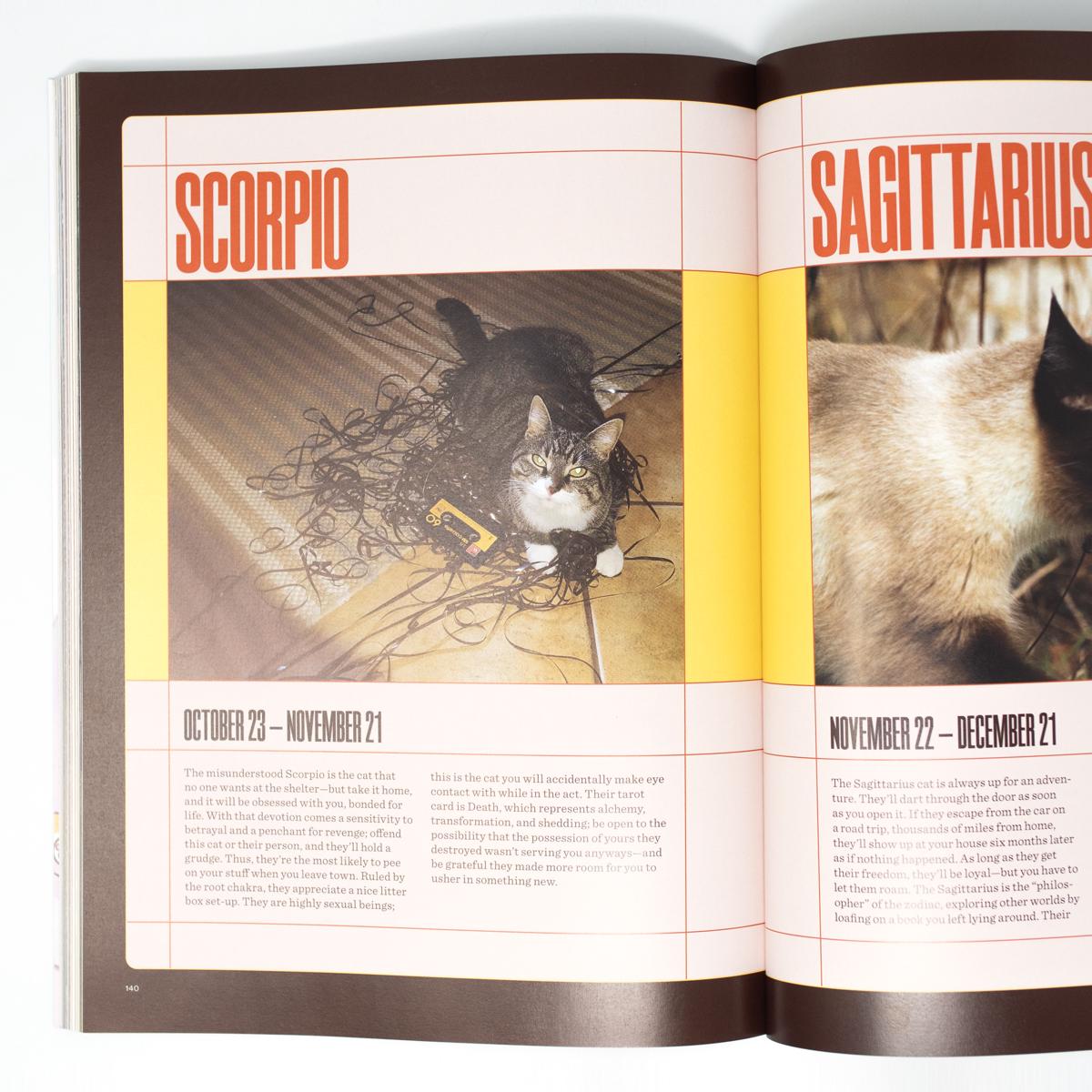 catnip mag inside 3