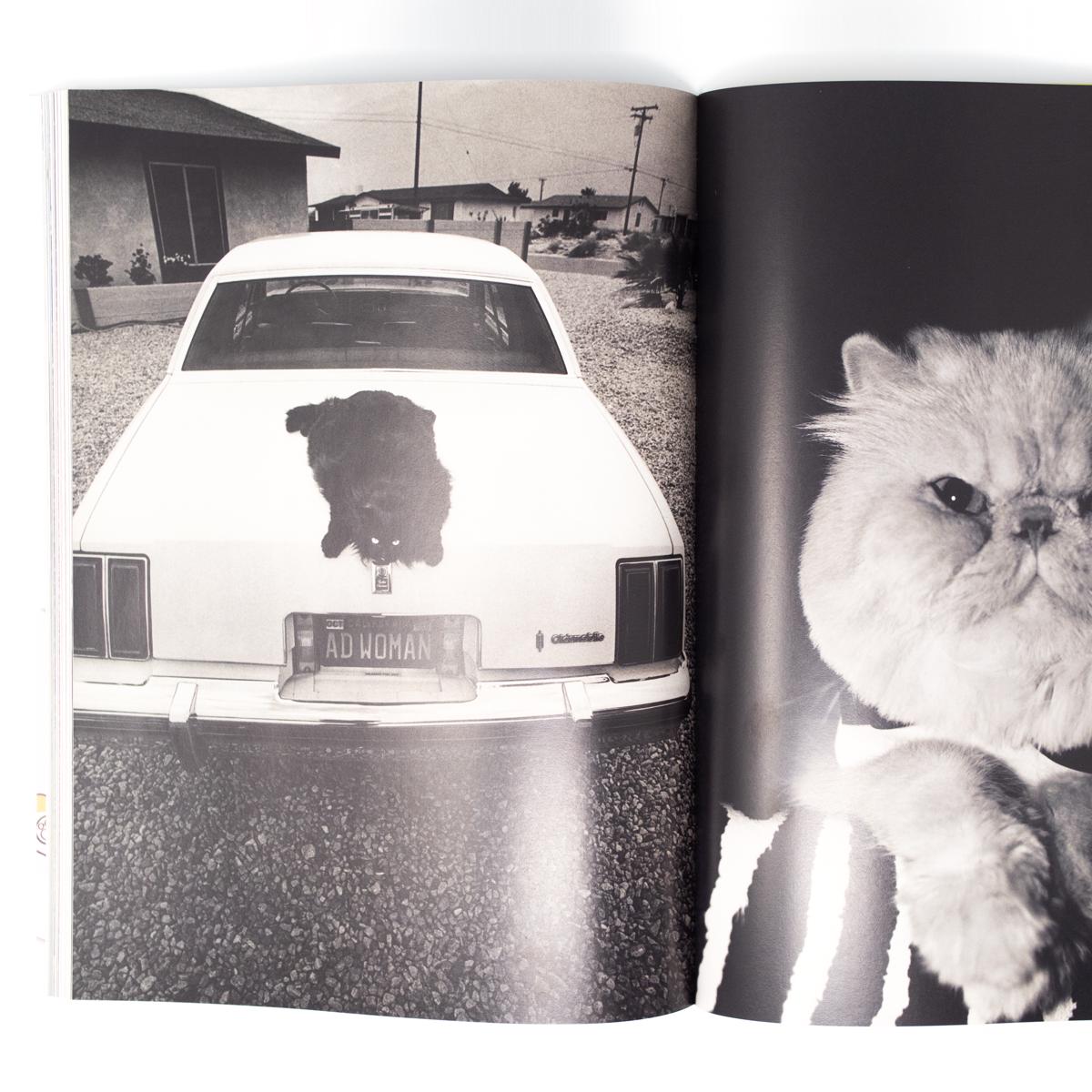 catnip mag inside 2