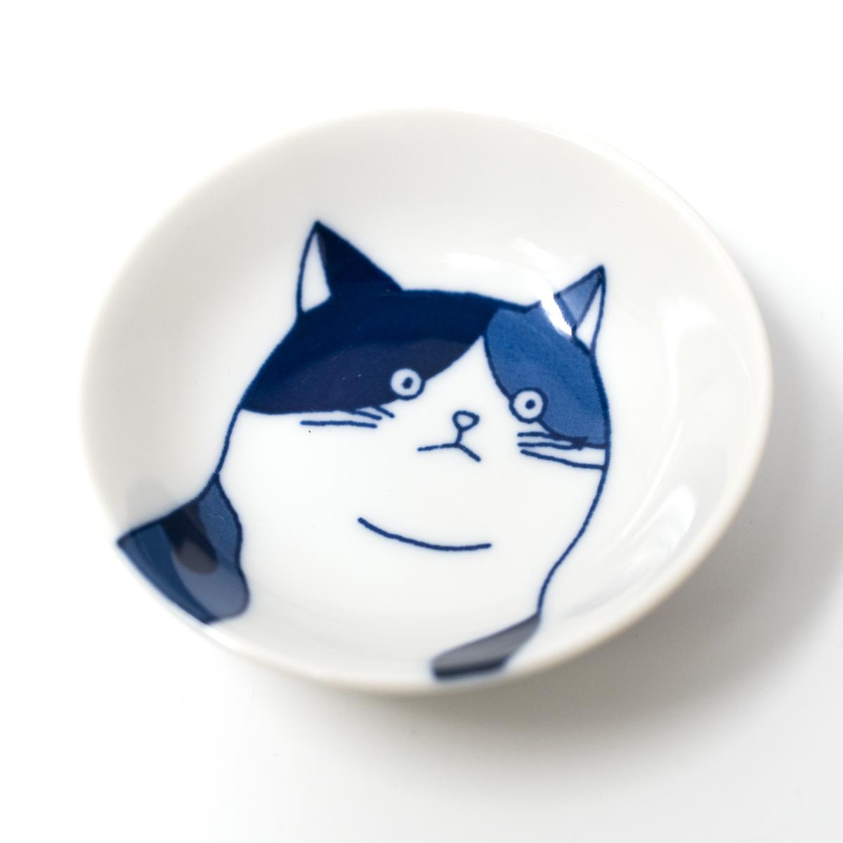 5 cat dishes pic