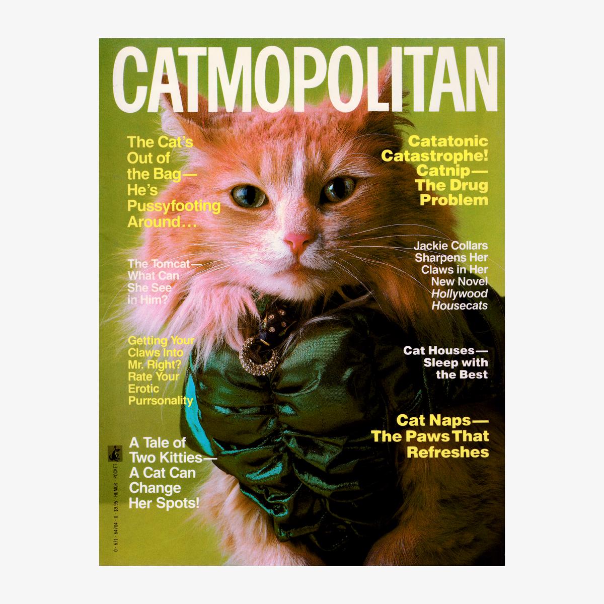 general catmopolitan cover