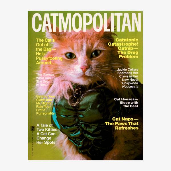 Image of Vintage Catmopolitan Magazine