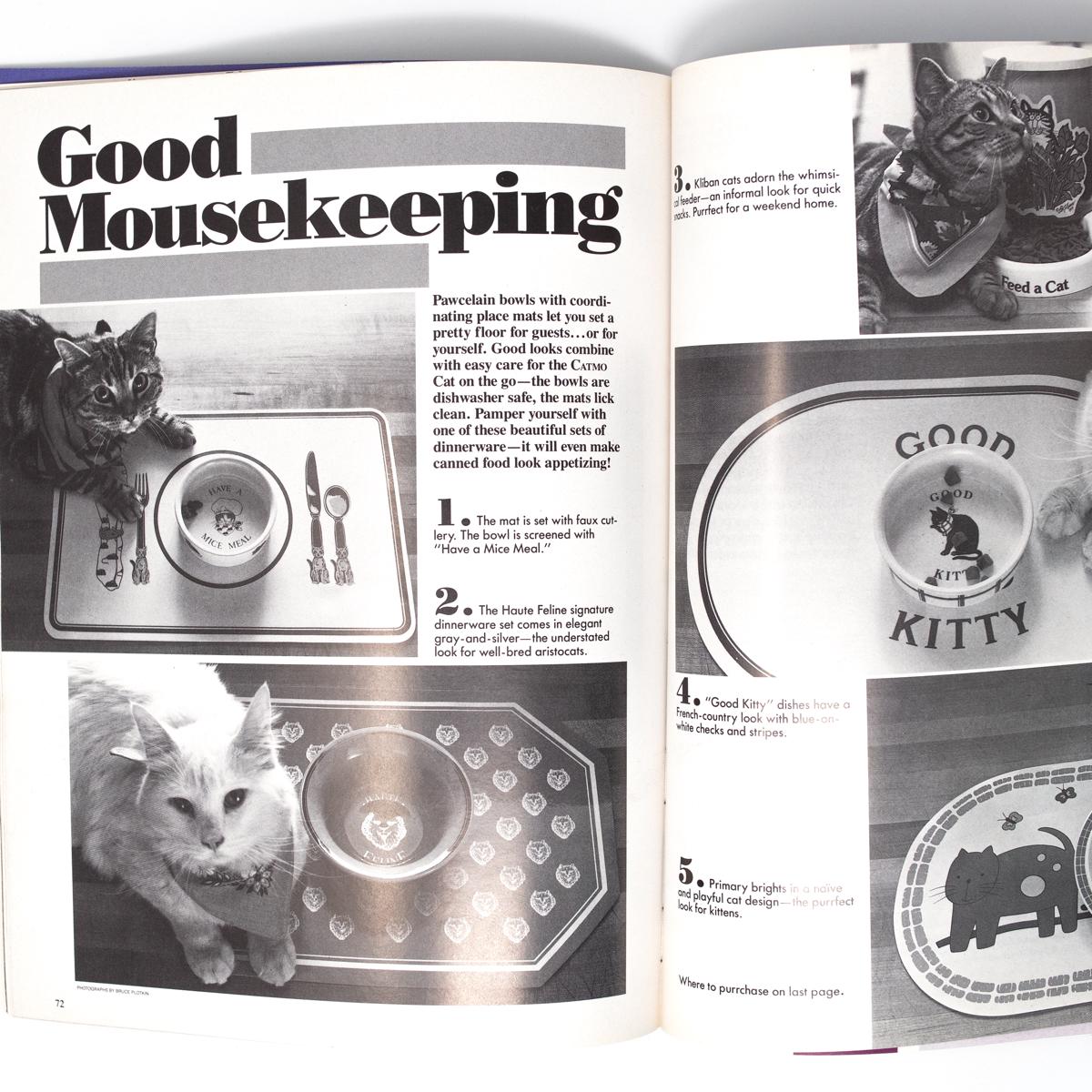 general catmopolitan page 2