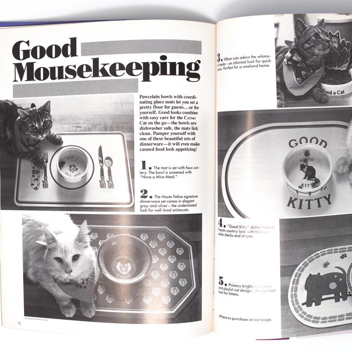 general catmopolitan page 2