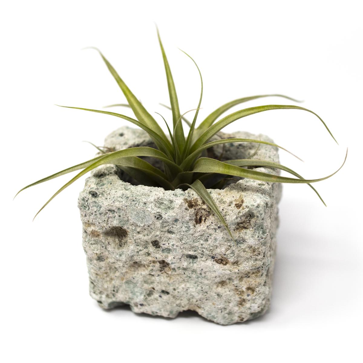 vase 2 angle
