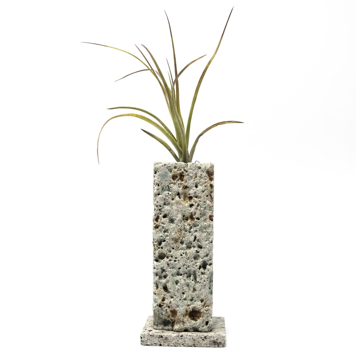 vase 3 front