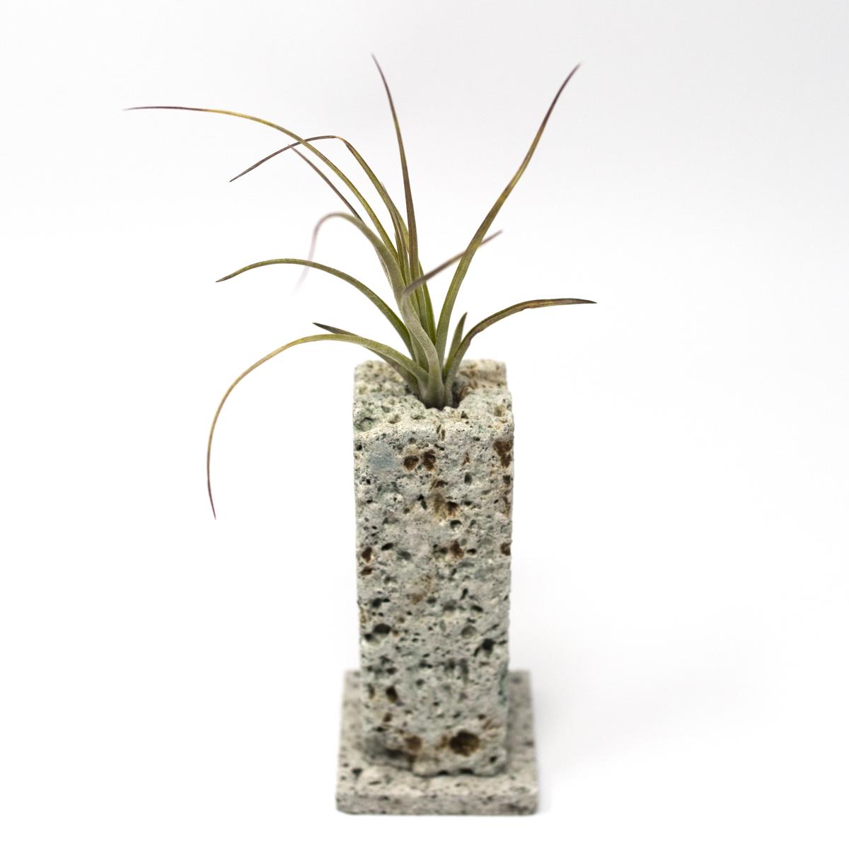 vase 3 top angle