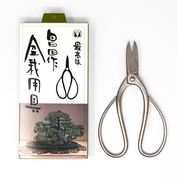 Image of Masakuni Bonsai Shears