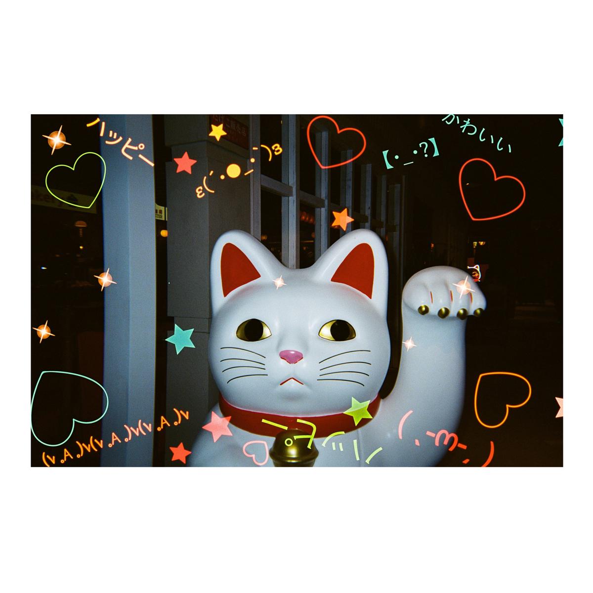 1 general emoji camera example 2