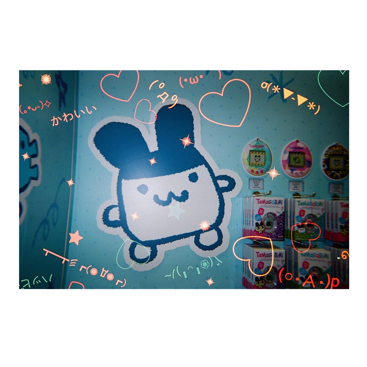 general emoji camera example 1