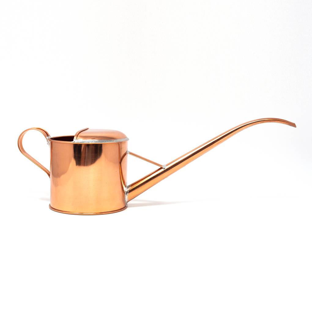 Image of Negishi Watering Can