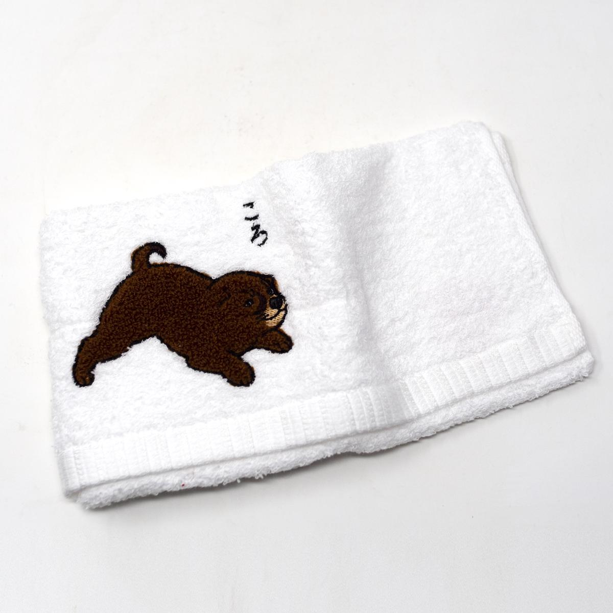 brown dog open