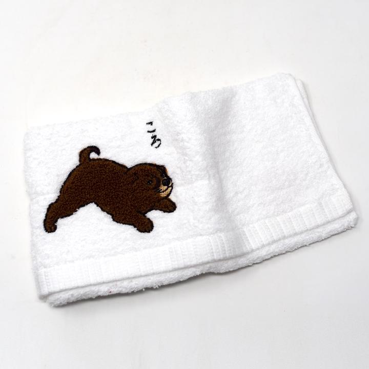 brown dog open