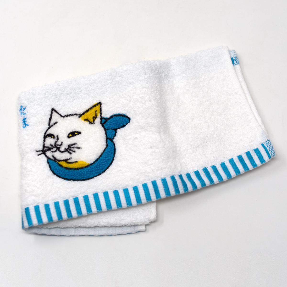 cat open