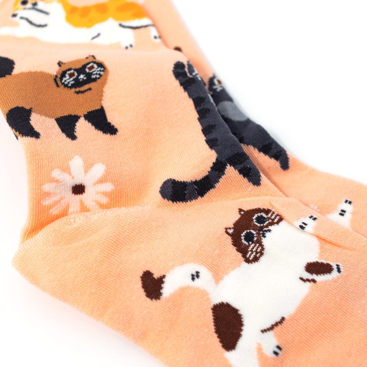 general salmon cat socks closeup full