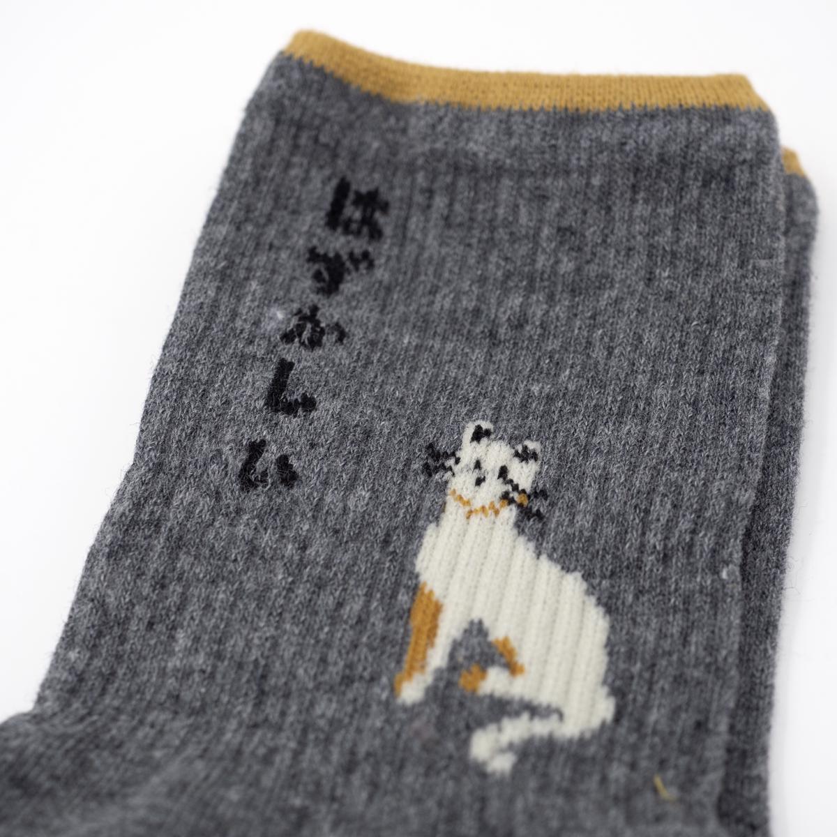grey cat socks close