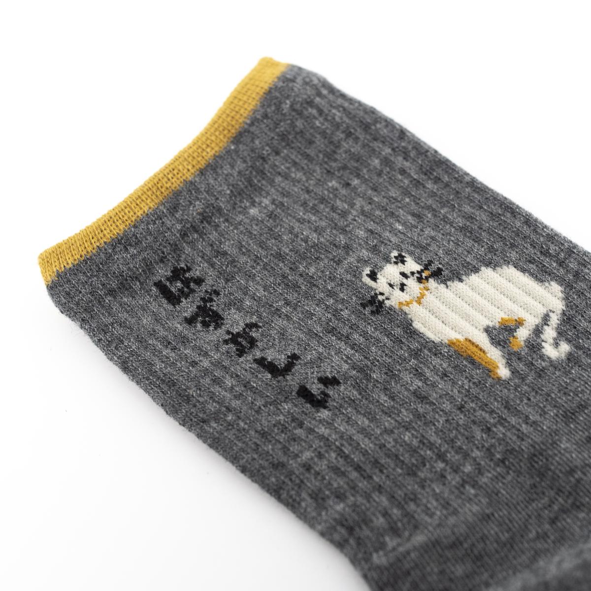 general grey cat socks closeup