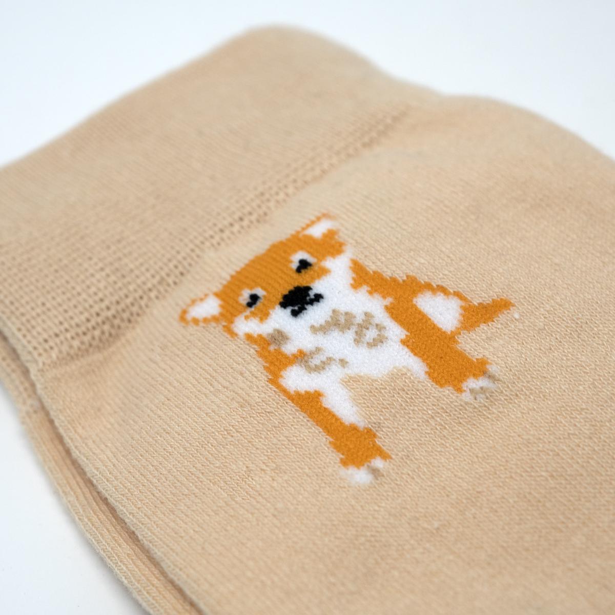 orange dog socks closeup