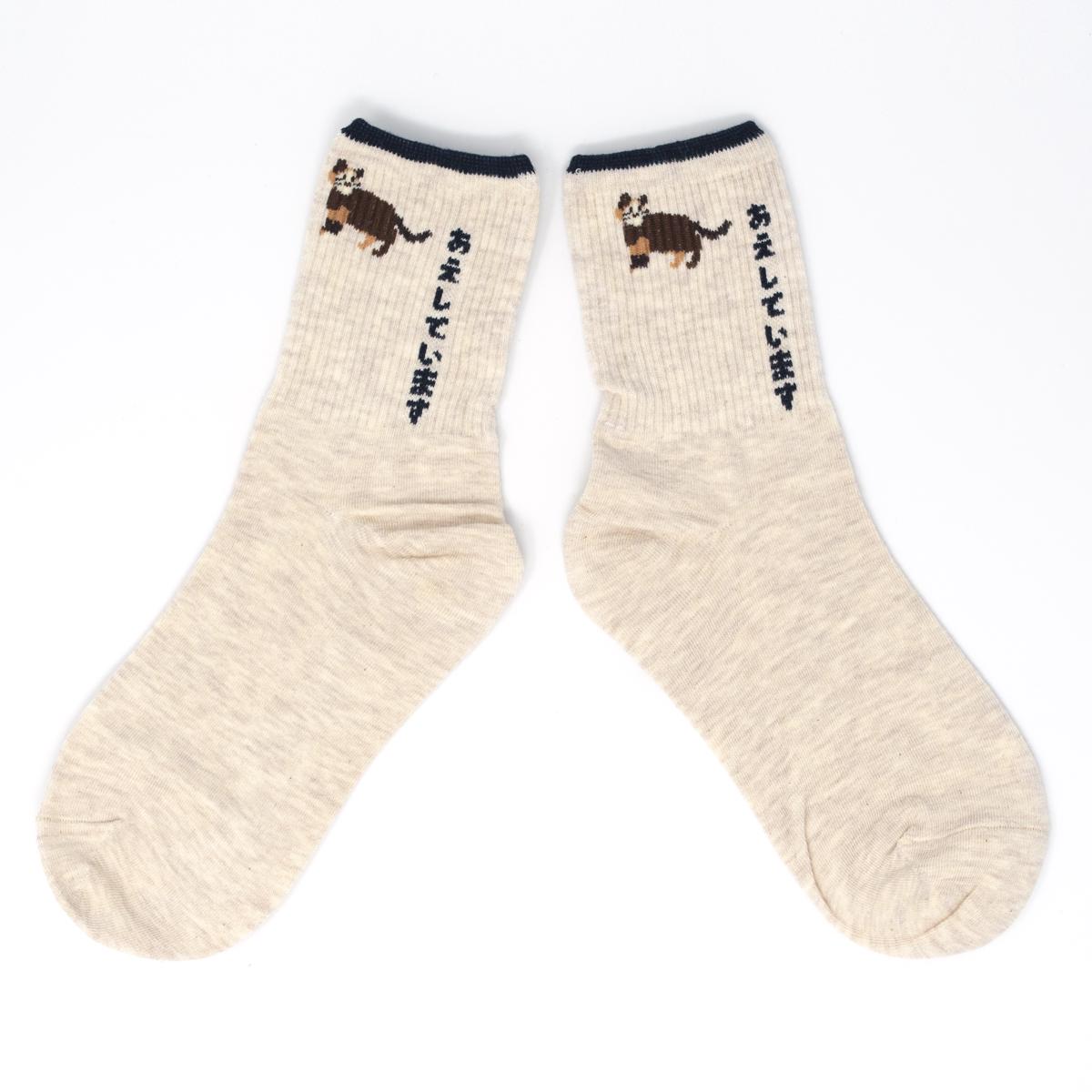 general white cat socks open