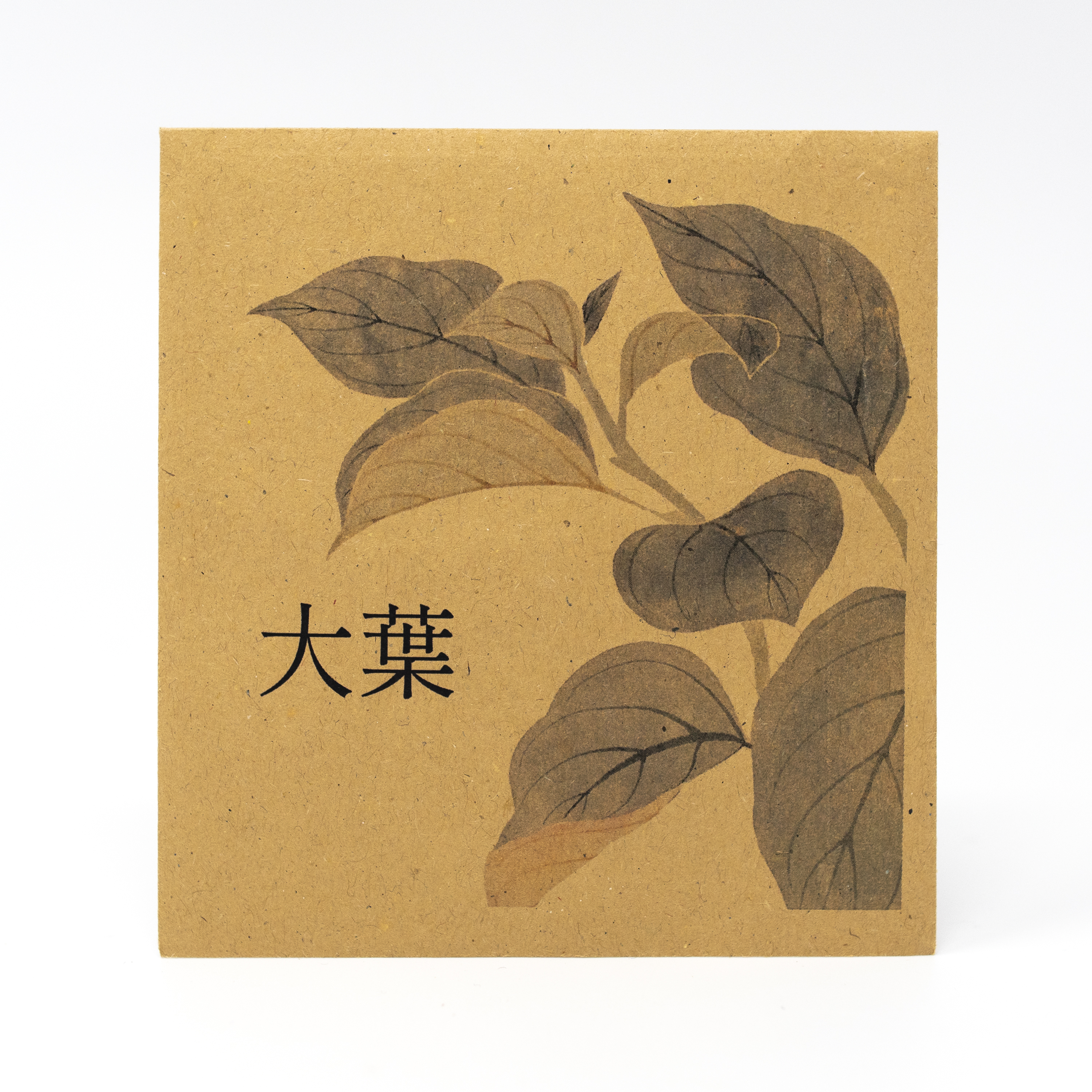 Image of Shiso Seeds