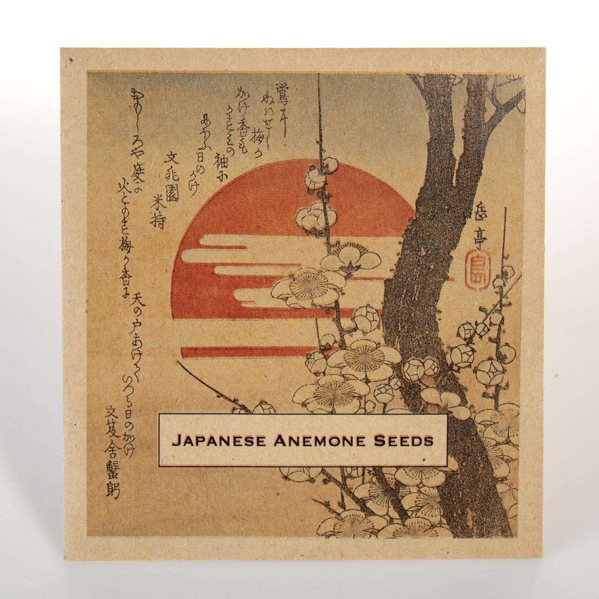 japanese anemony seeds