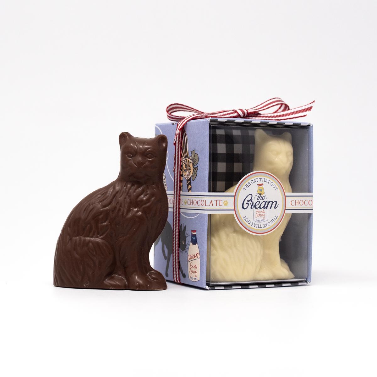 chocolate gift company cat chocolate open