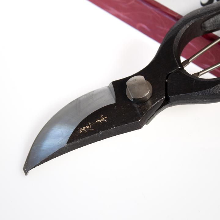 sentai secateurs closeup