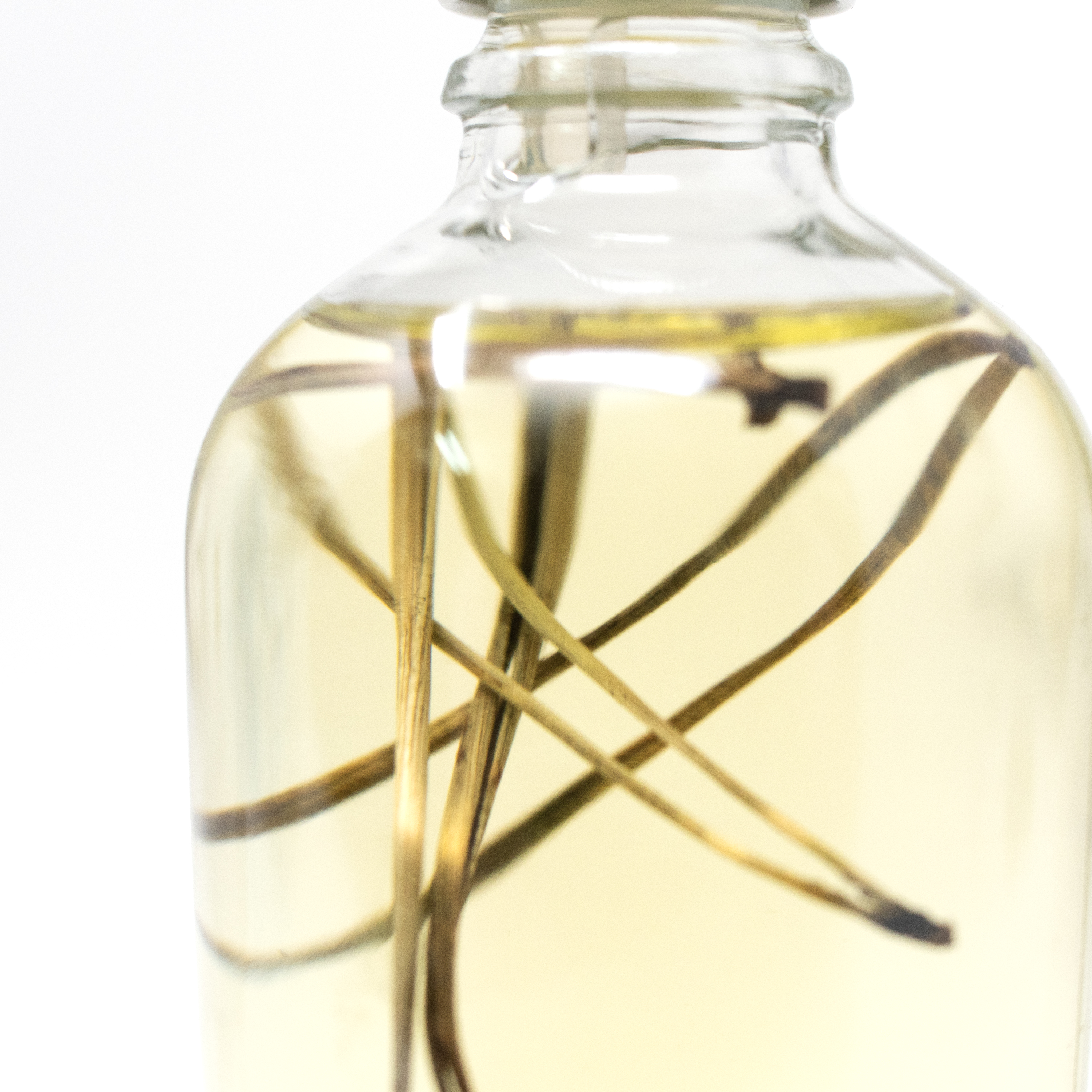 Image of Pine & Sea Buckthorn Natural Body Oil