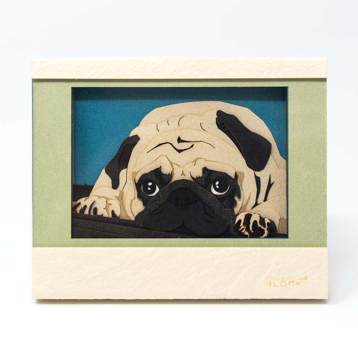triad pug front