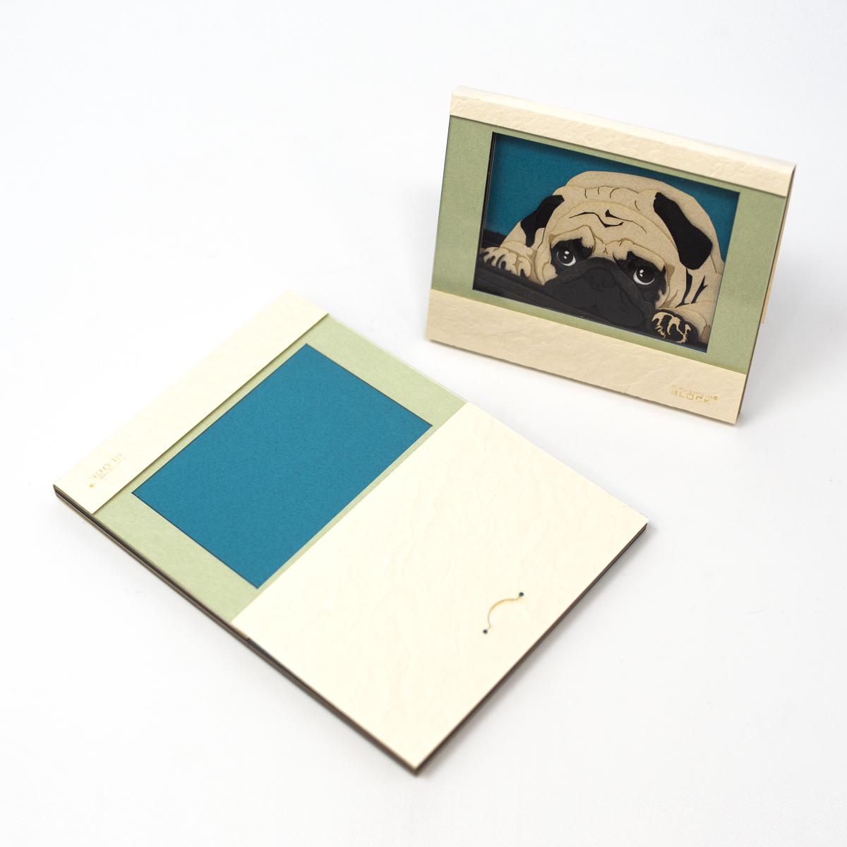 triad pug before after