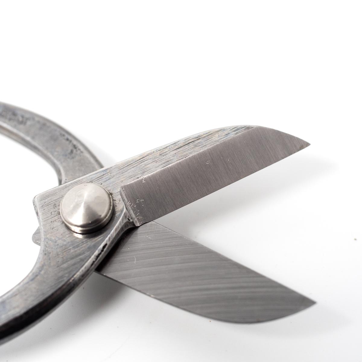 sekibokka ikenobo scissors side closeup