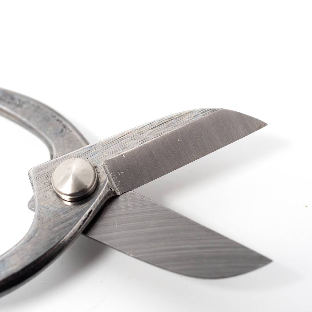 Image of Tsurumaki Ikebana Scissors