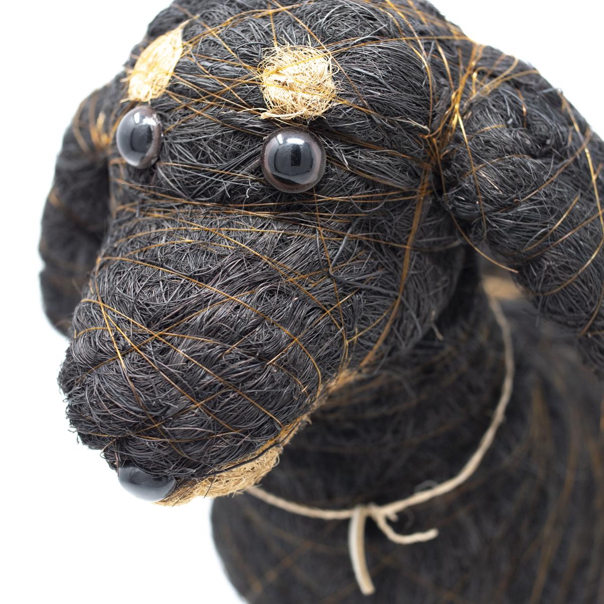 lihka black dog face closeup