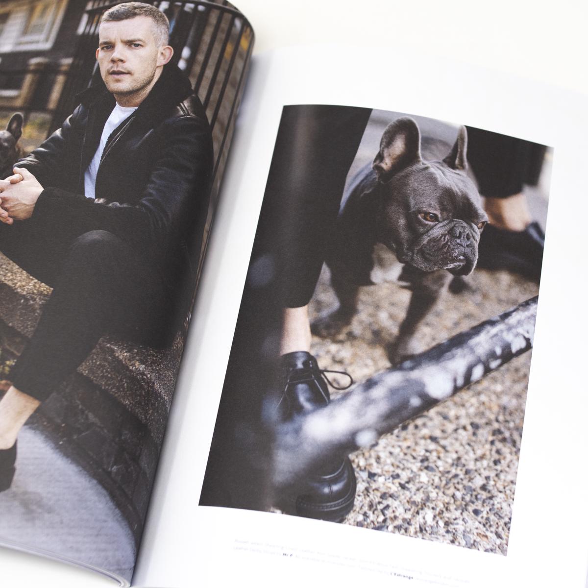dog mag bulldog inside 1