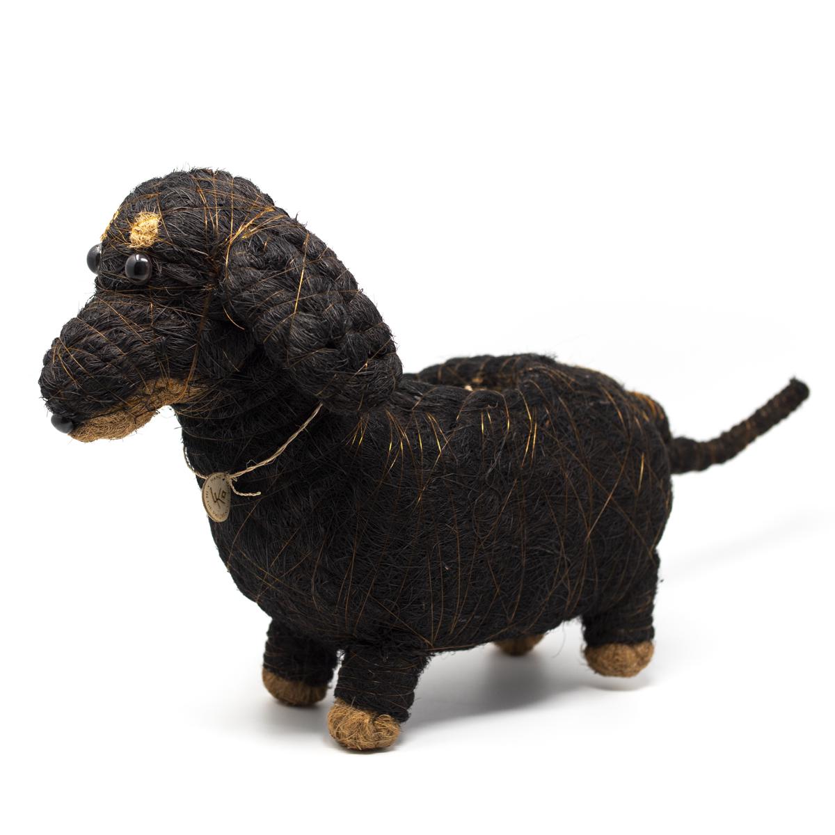 lihka black dog side angle