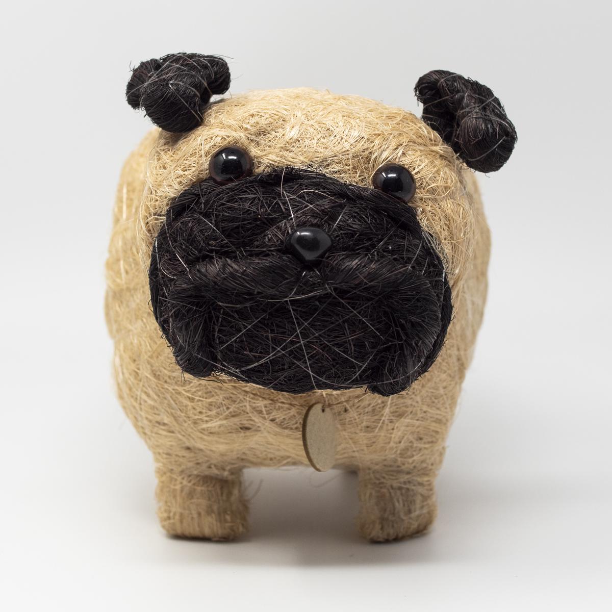 lihka black and white dog front