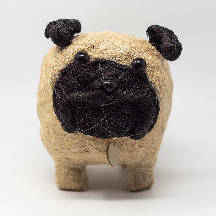 lihka black and white dog front