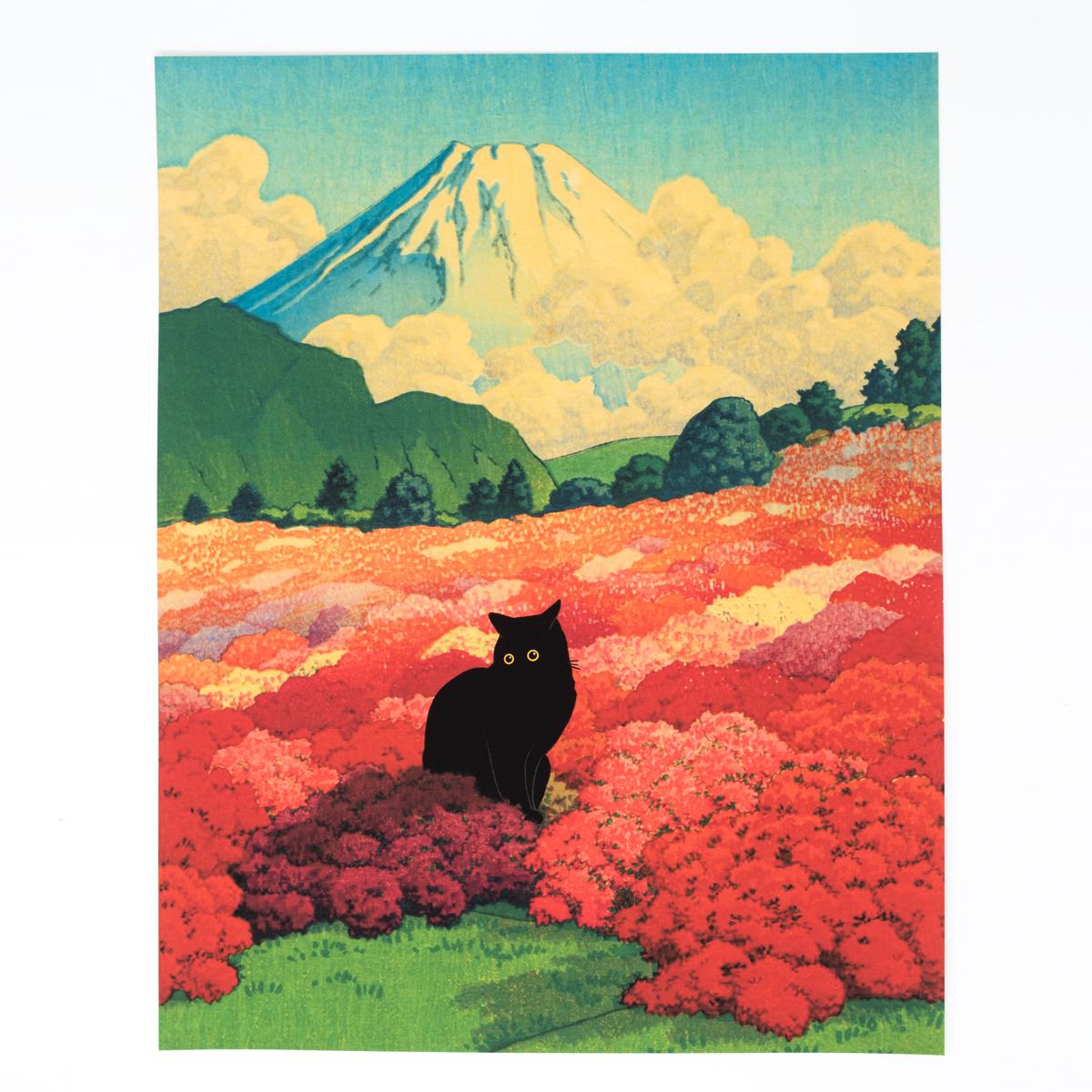 general cat print fuji field