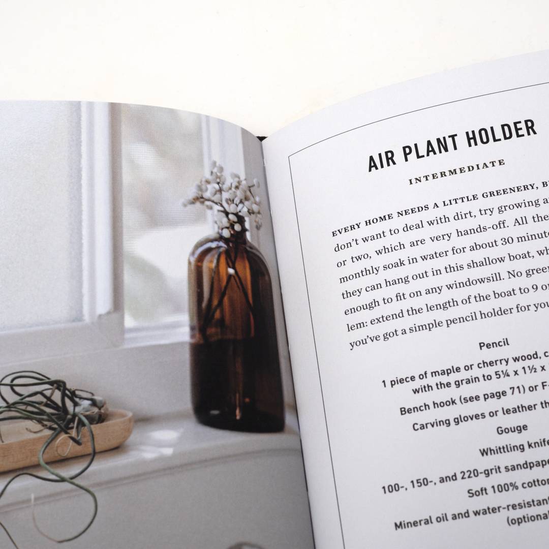 carve book air plant holder