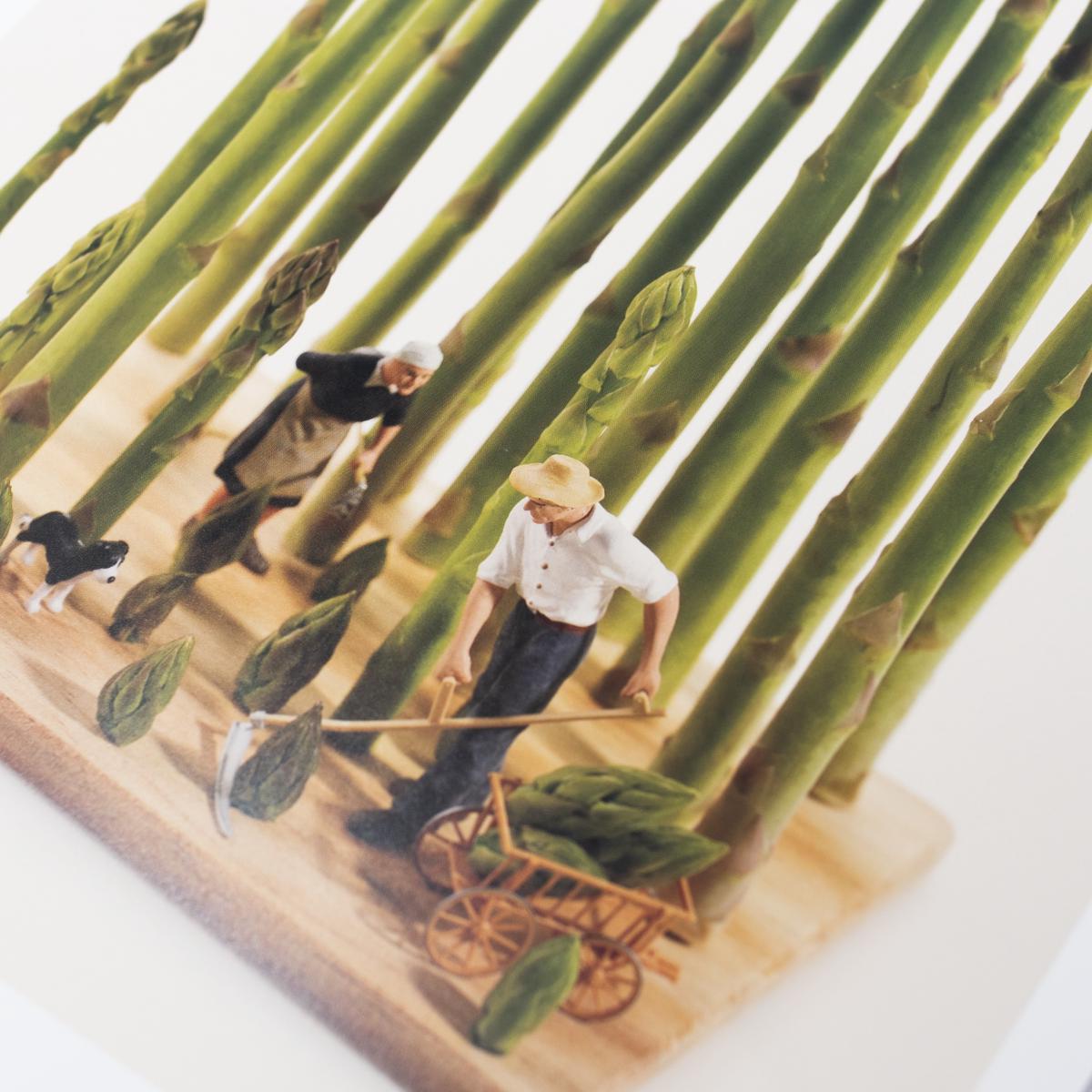 tatsuya tanaka miniature life calendar 2024 inside 5