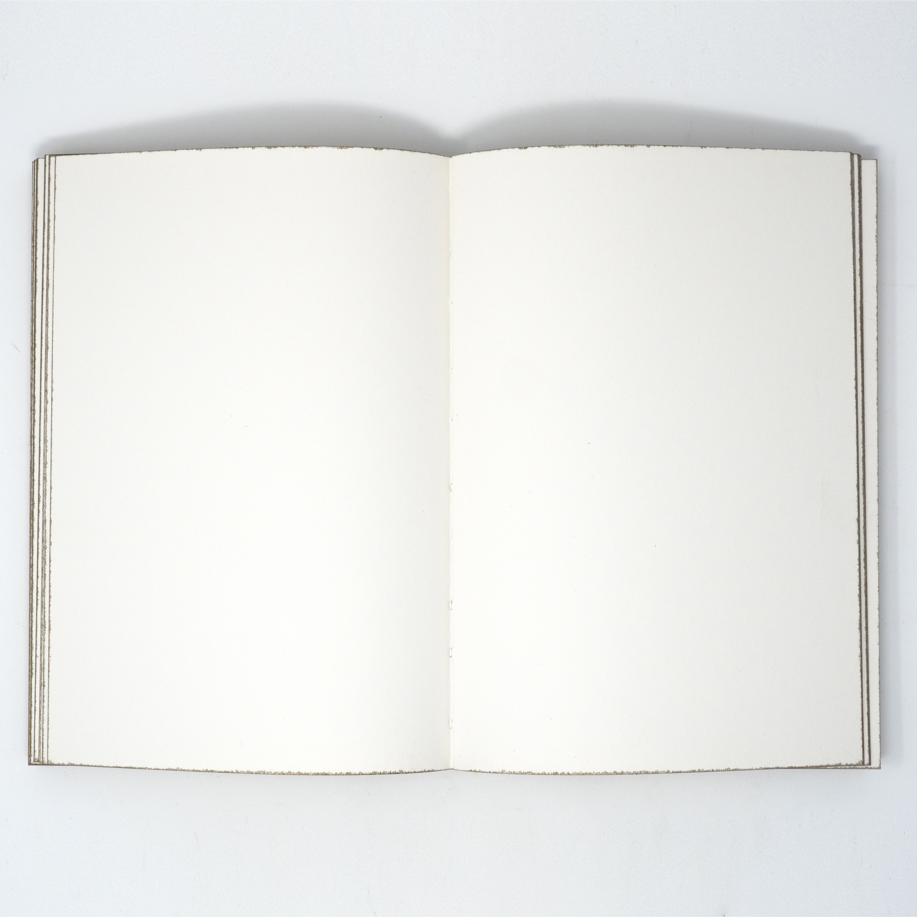 Image of Naturalis Historiae Notebook