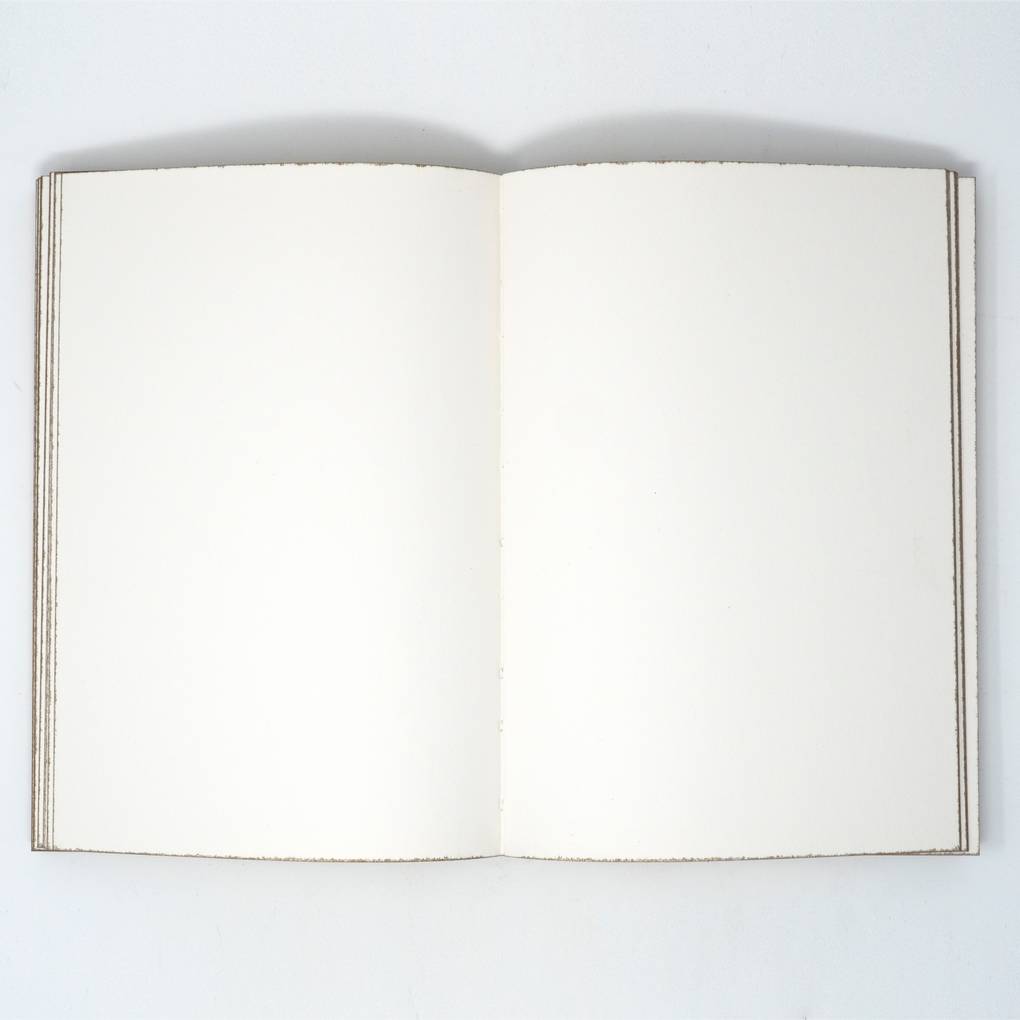 Image of Naturalis Historiae Notebook