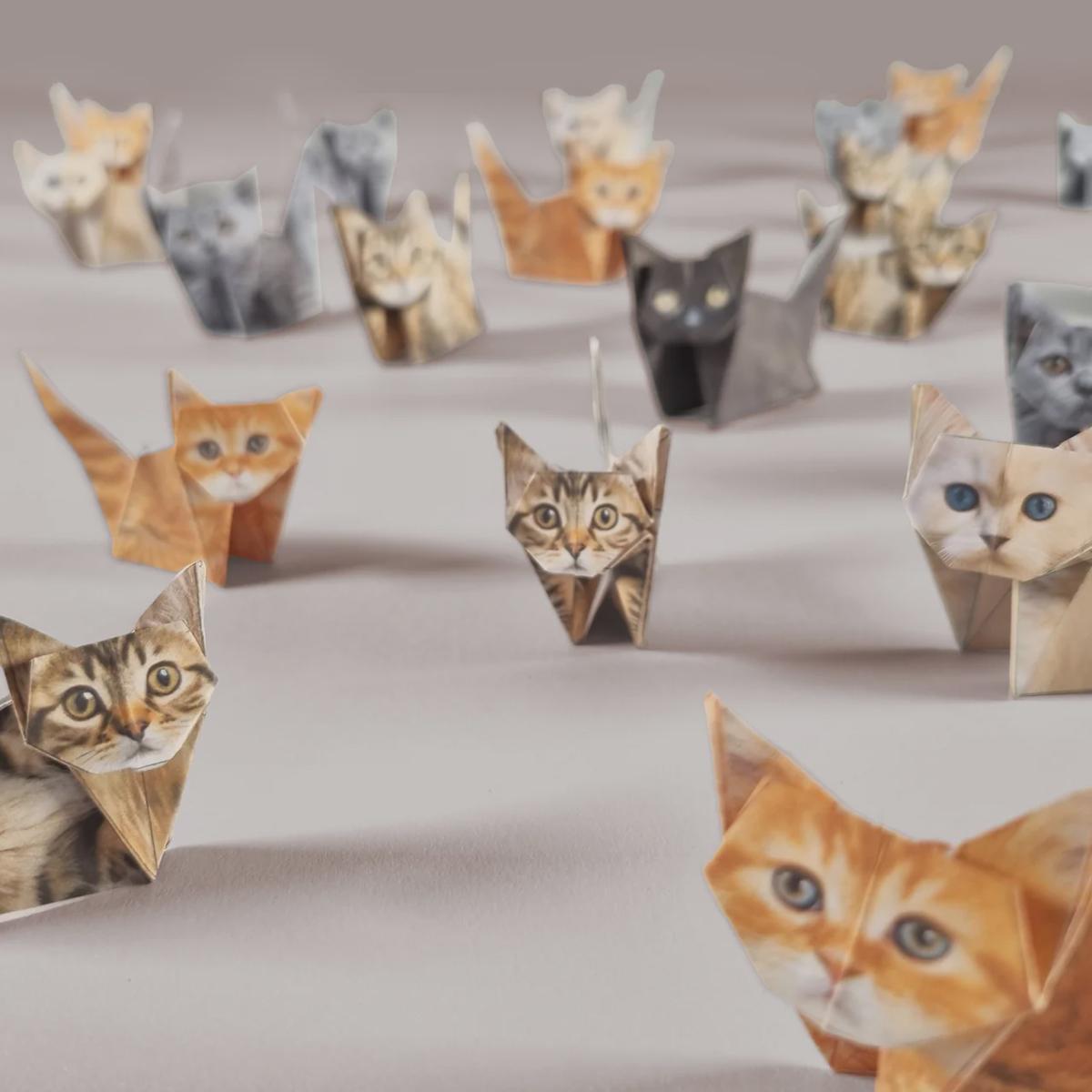 paper cats made