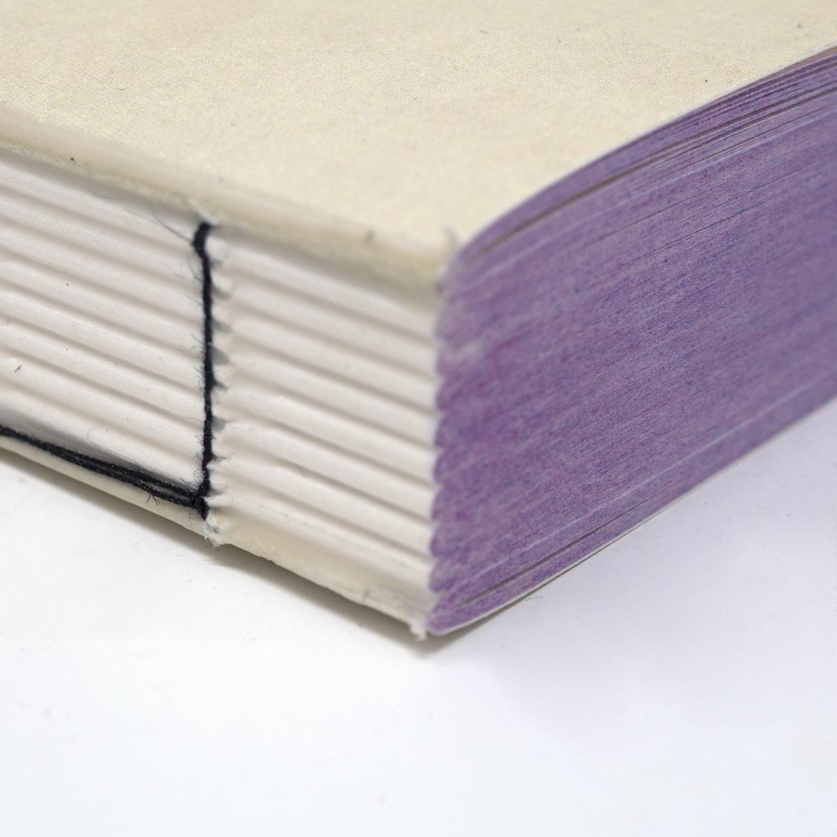 pride and prejudice closeup copy