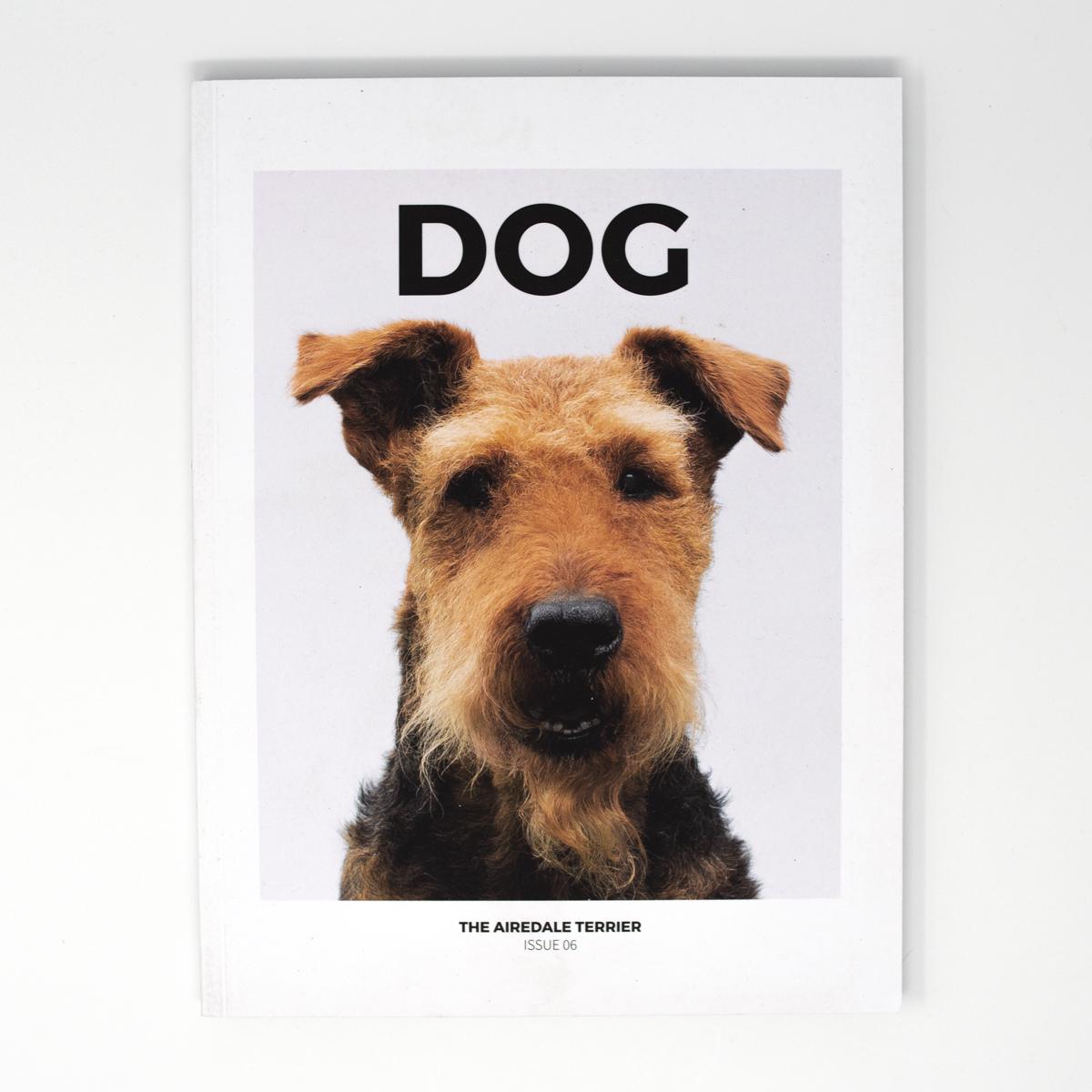 dog mag terrier front