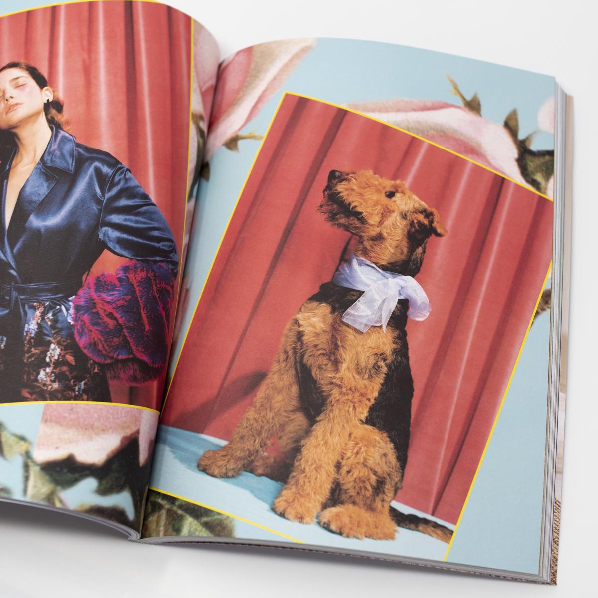 dog magazine terrier inside 1