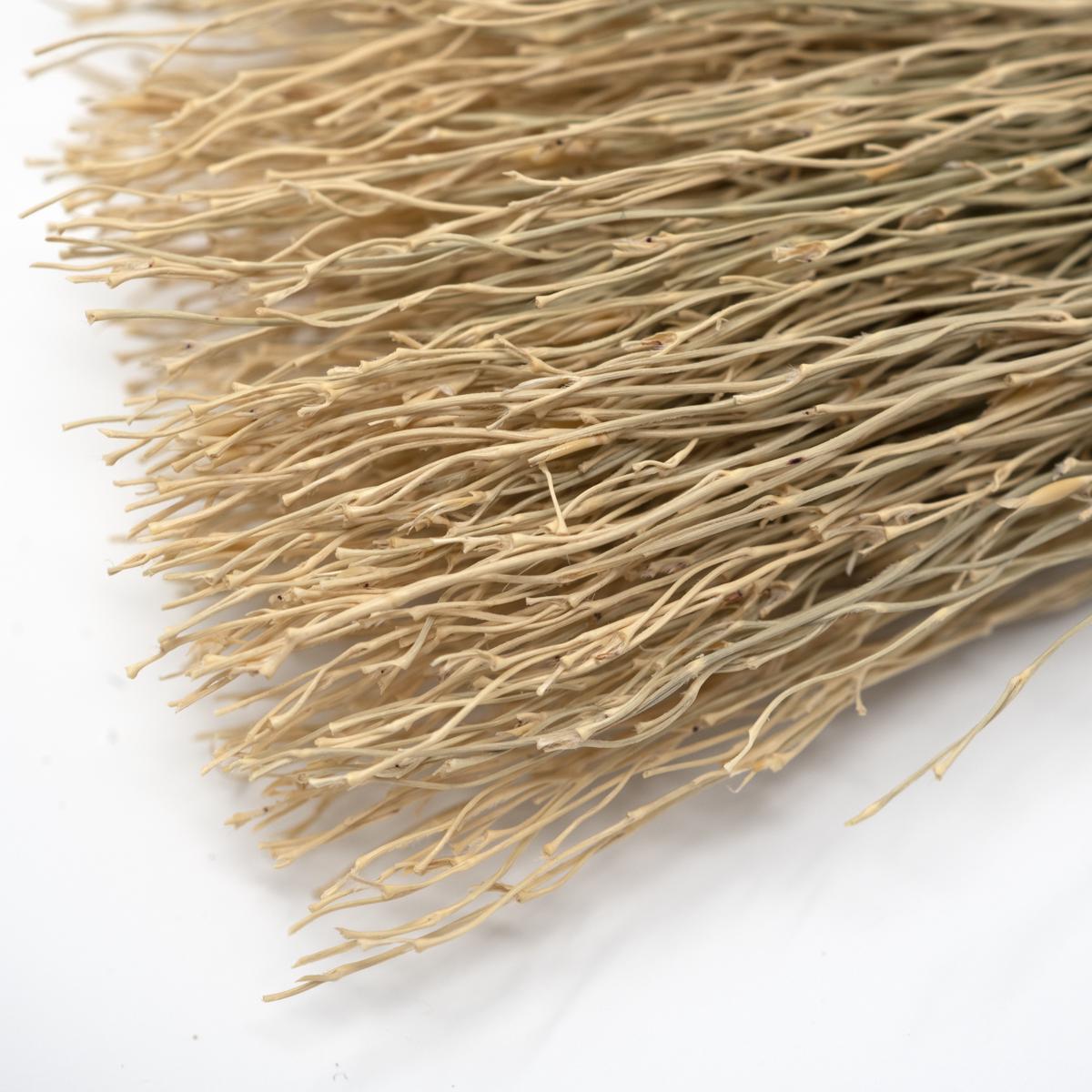 small indigo brush bristles