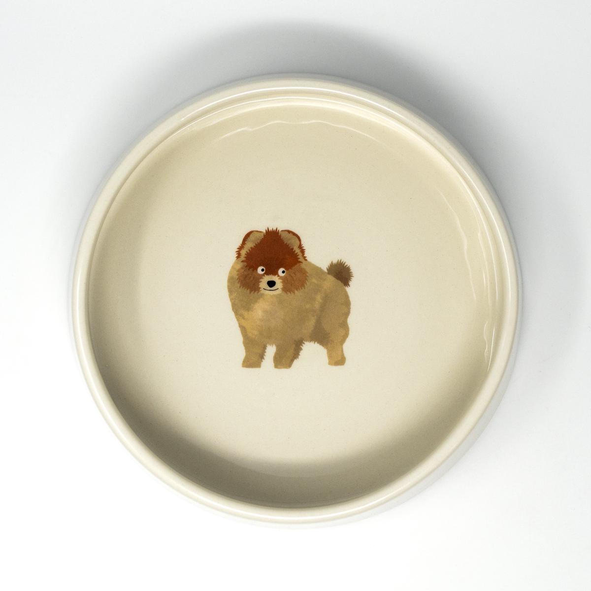 fenella pomeranian